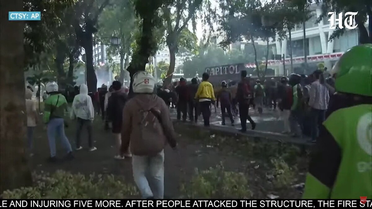    Кадр видео канала Mint/www.youtube.com/watch?v=O0BO1L7zG_w