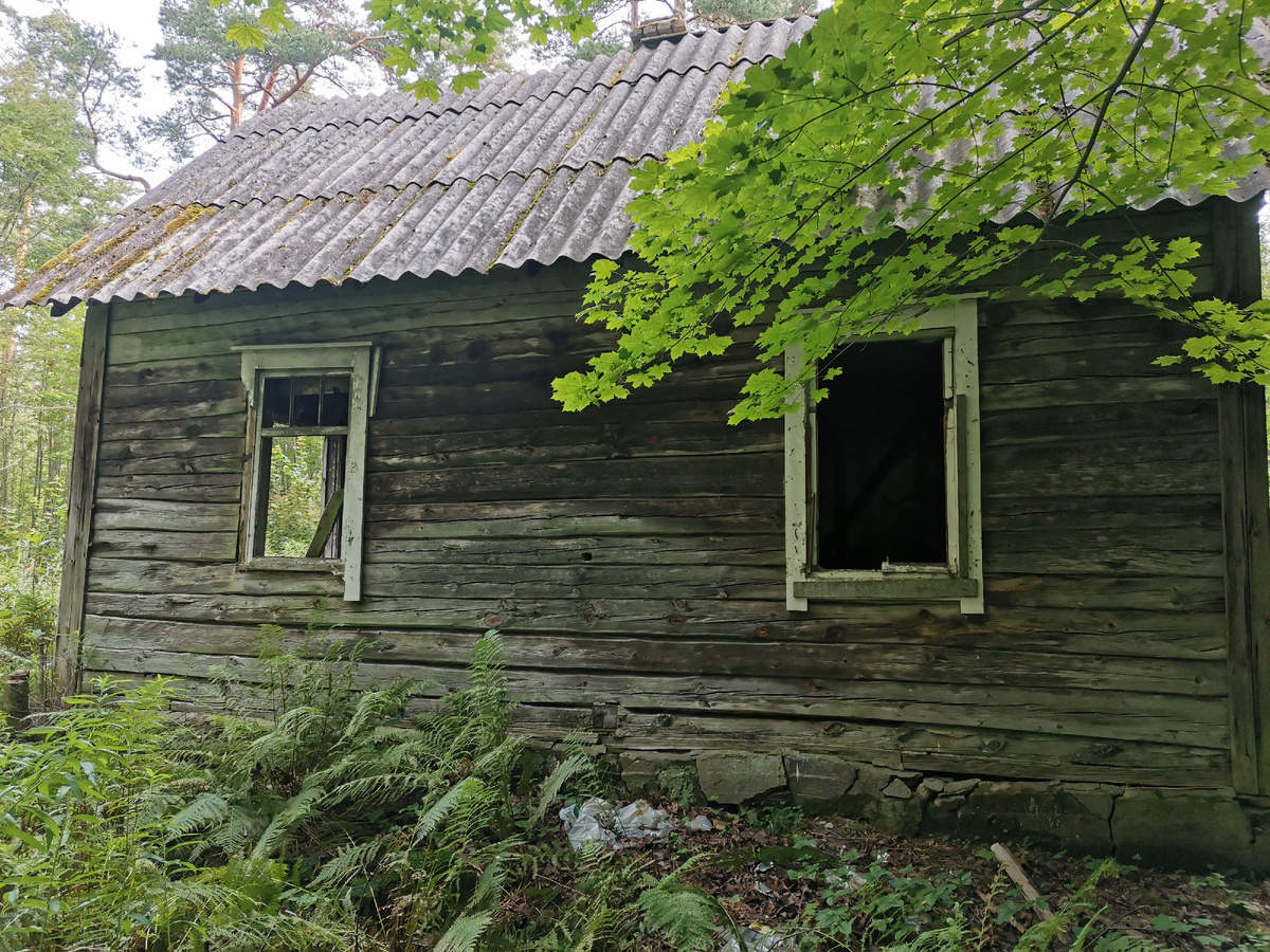 Когда-то тут наверное был двор. Сейчас трава почти по пояс.