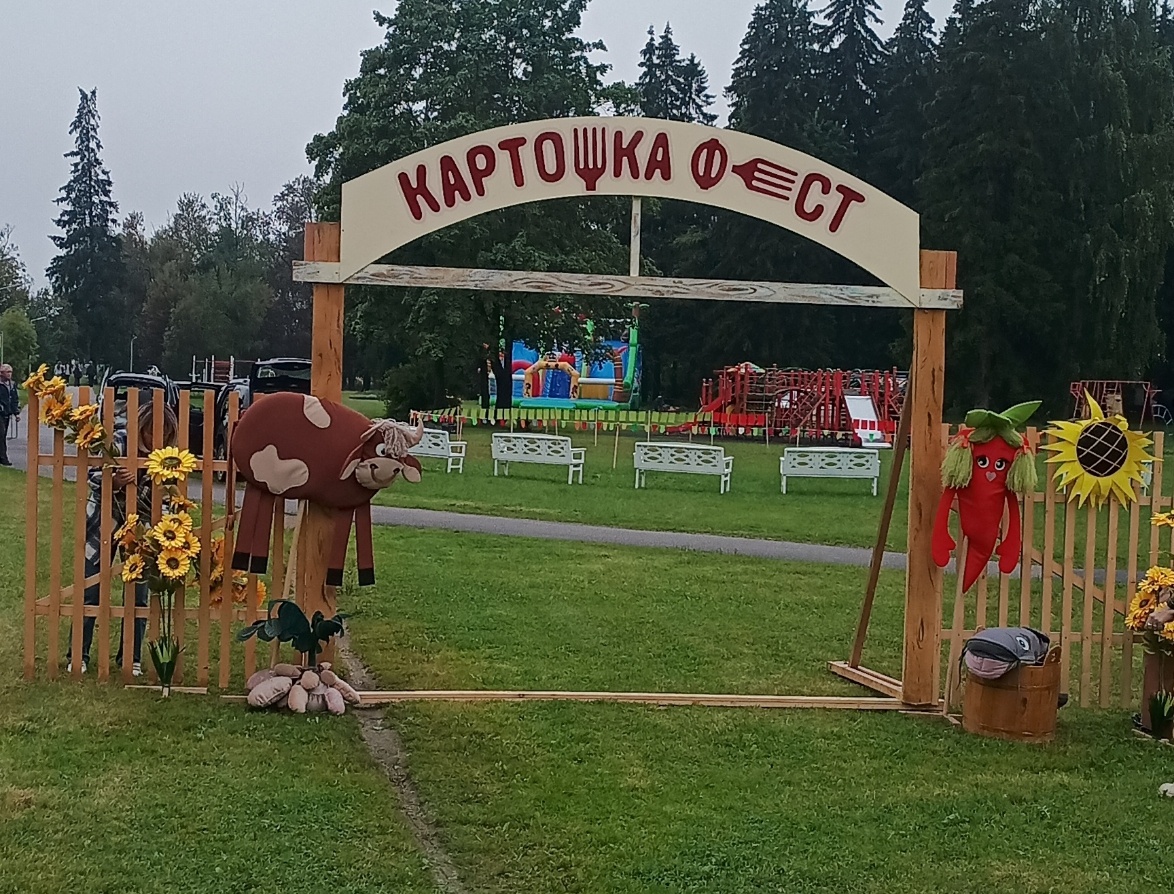 Фото автора. В этот раз на ярмарке праздника "Картошка фэст"