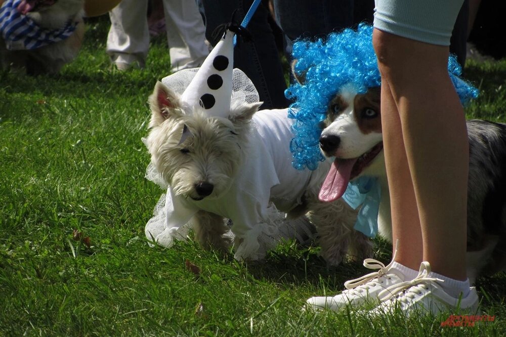    Фото: АиФ/ Екатерина Николаева