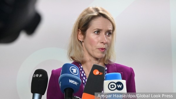     Фото: Ansgar Haase/dpa/Global Look Press   
 Текст: Вера Басилая