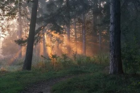 фото из интернета