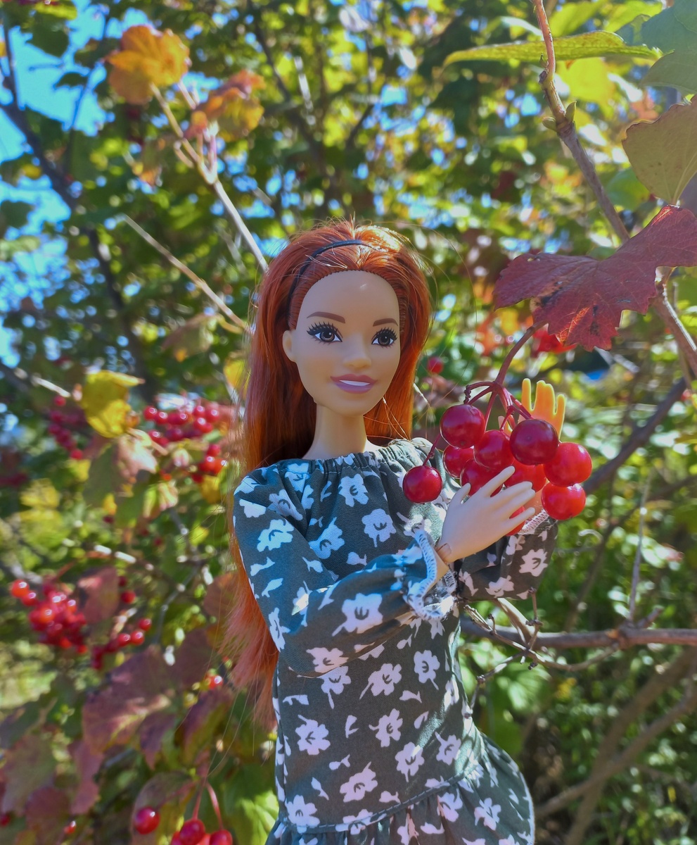 Мисс Сентябрь (Лекса Браун) - Барби МТМ пышка Алек