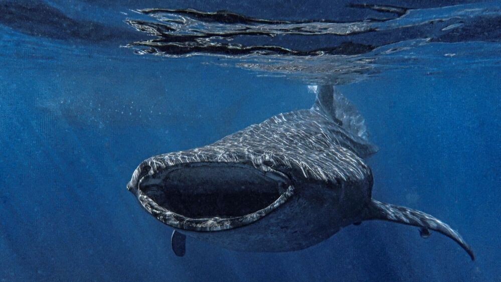    Фото: emherbert/Shutterstock/Fotodom