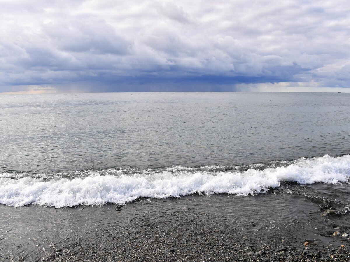    Берег Черного моря© РИА Новости / Наталья Селиверстова
