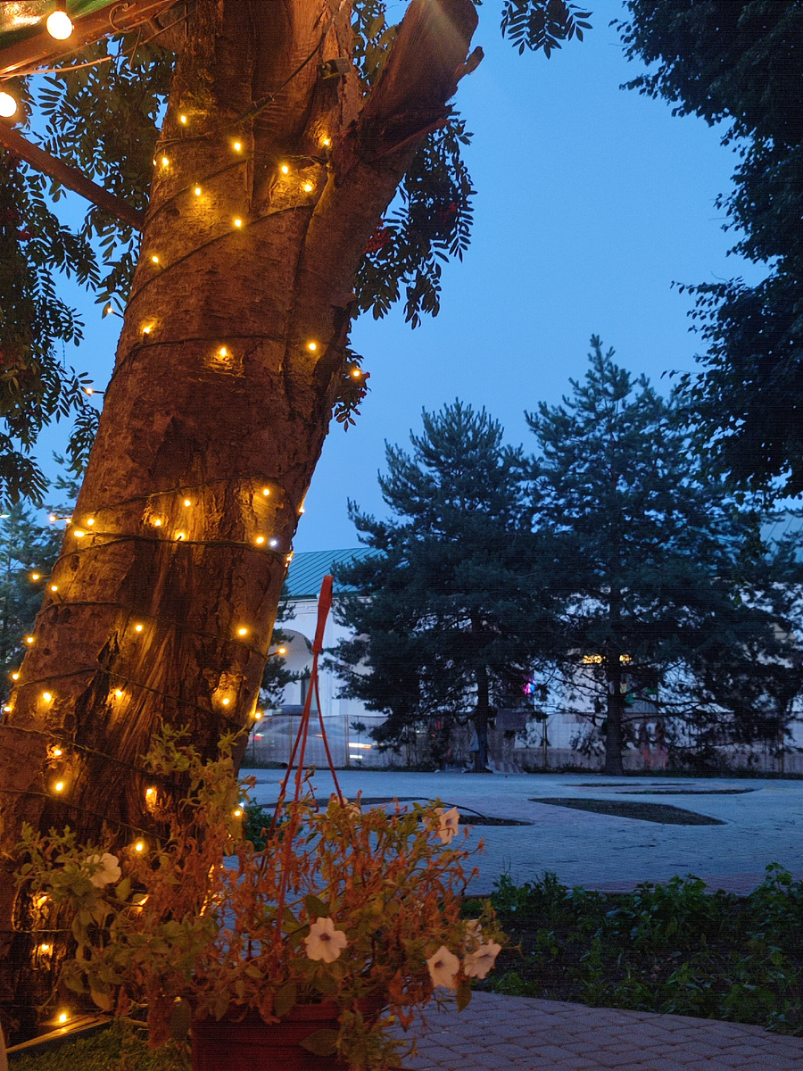 Эстетика из личного архива