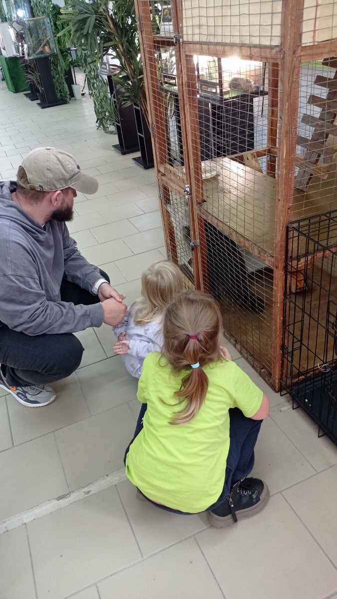 Один енот в клетке. 