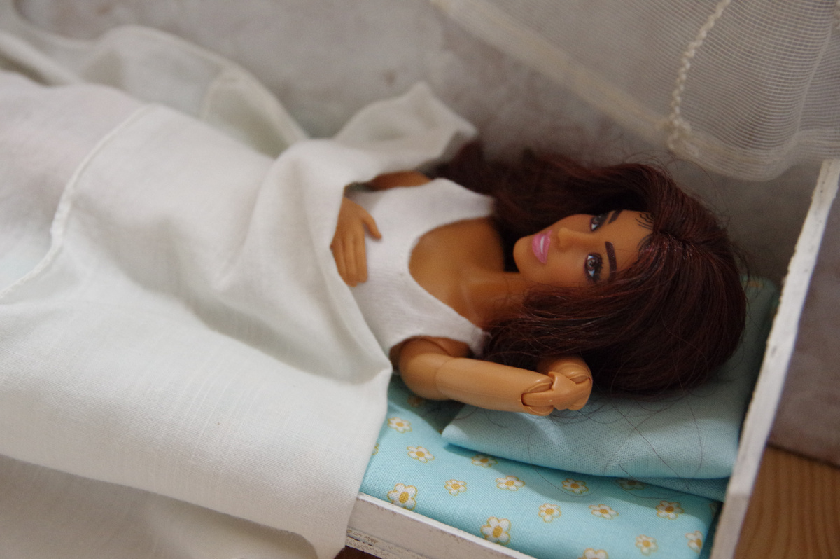 Barbie Дайя. Фото автора