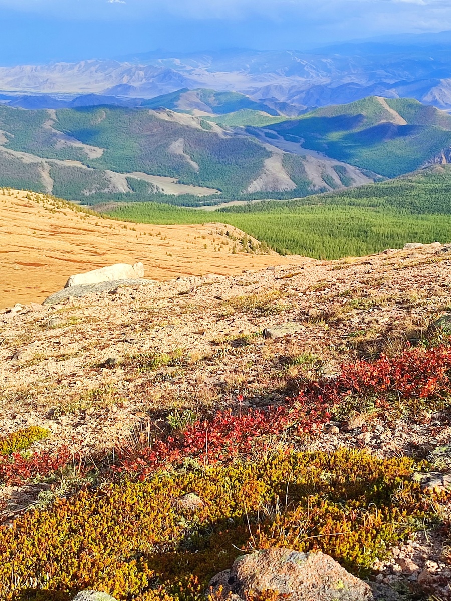 Фото А. Хертек