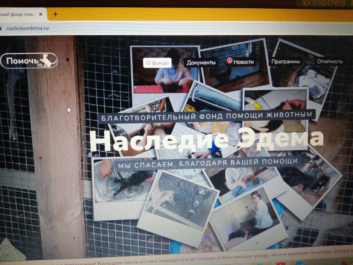 Коллаж на главной странице сайта фонда "Наследие Эдема" города Прокопьевска. По какой бы ссылке Вы не перешли, коллаж Вас везде сопровождает. Информация актуальна на 30 августа 2025 года.