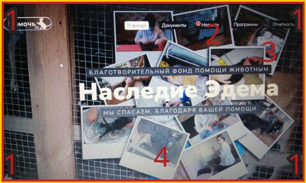 Мой вольер, очертания которого обозначены цифрами 1, раскинулся по всей ширине главной страницы фонда. Под цифрой 2 упомянутый в стихотворении мой пес Васька. Ни к строительству вольера, ни к оборудованию представленной на фото комнаты фонд не имеет ни малейшего отношения. Под цифрой 3 мое фото, а под цифрой 4 - мой пес Арнольд. Мои животные вместе со мной безотрывно сопровождают Вас во время Вашего перемещения по сайту.