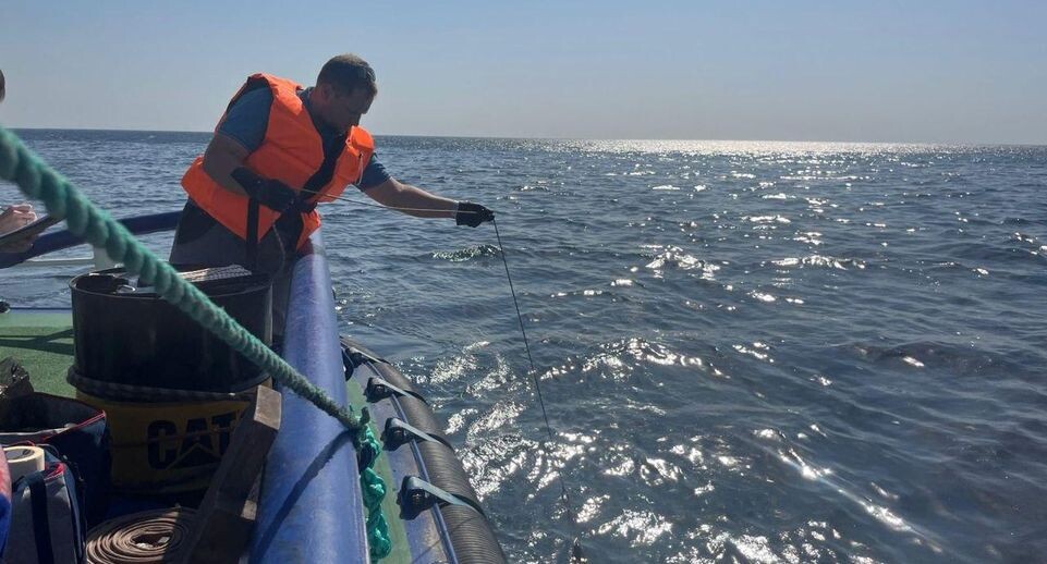    Росприроднадзор / Telegram