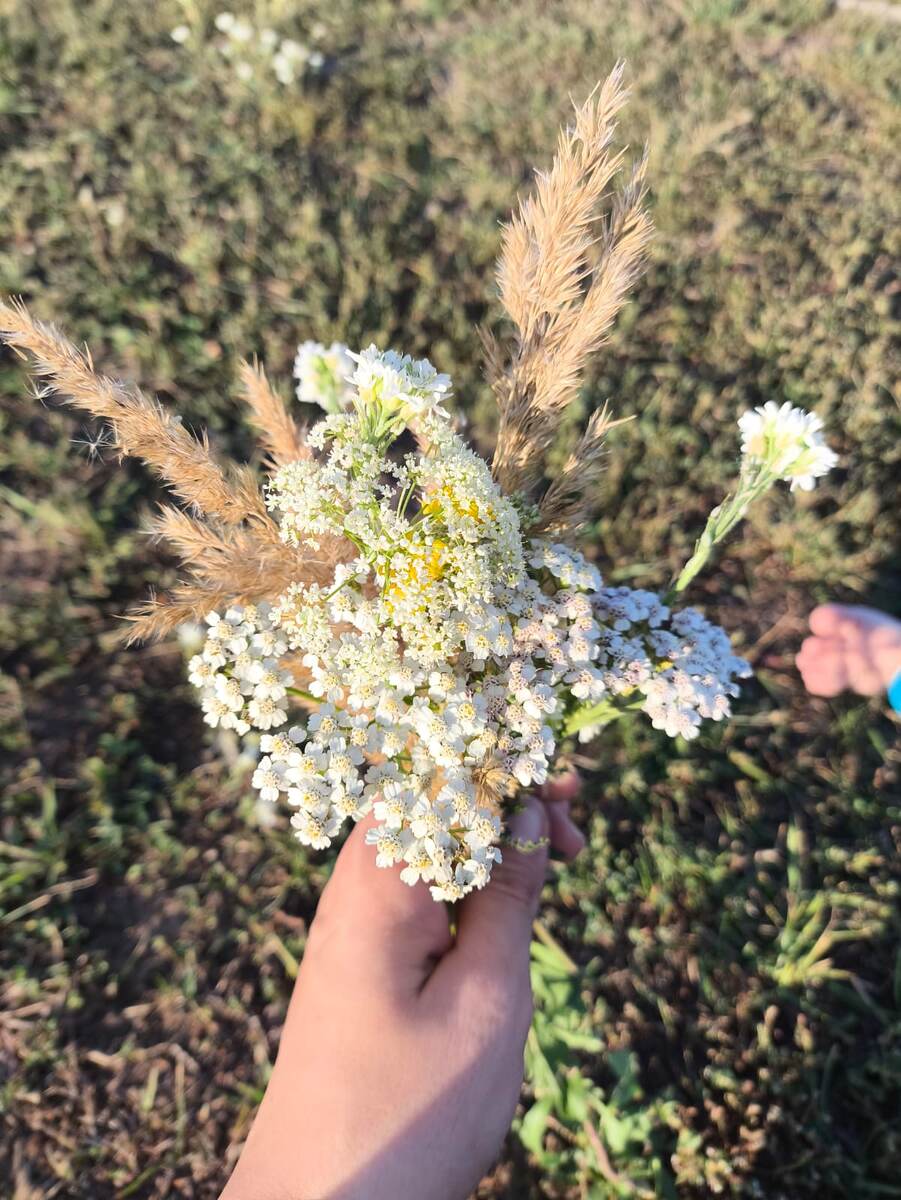 Для вас - С наступлением осени! А лето ещё вернётся и не раз💛🔆🤗