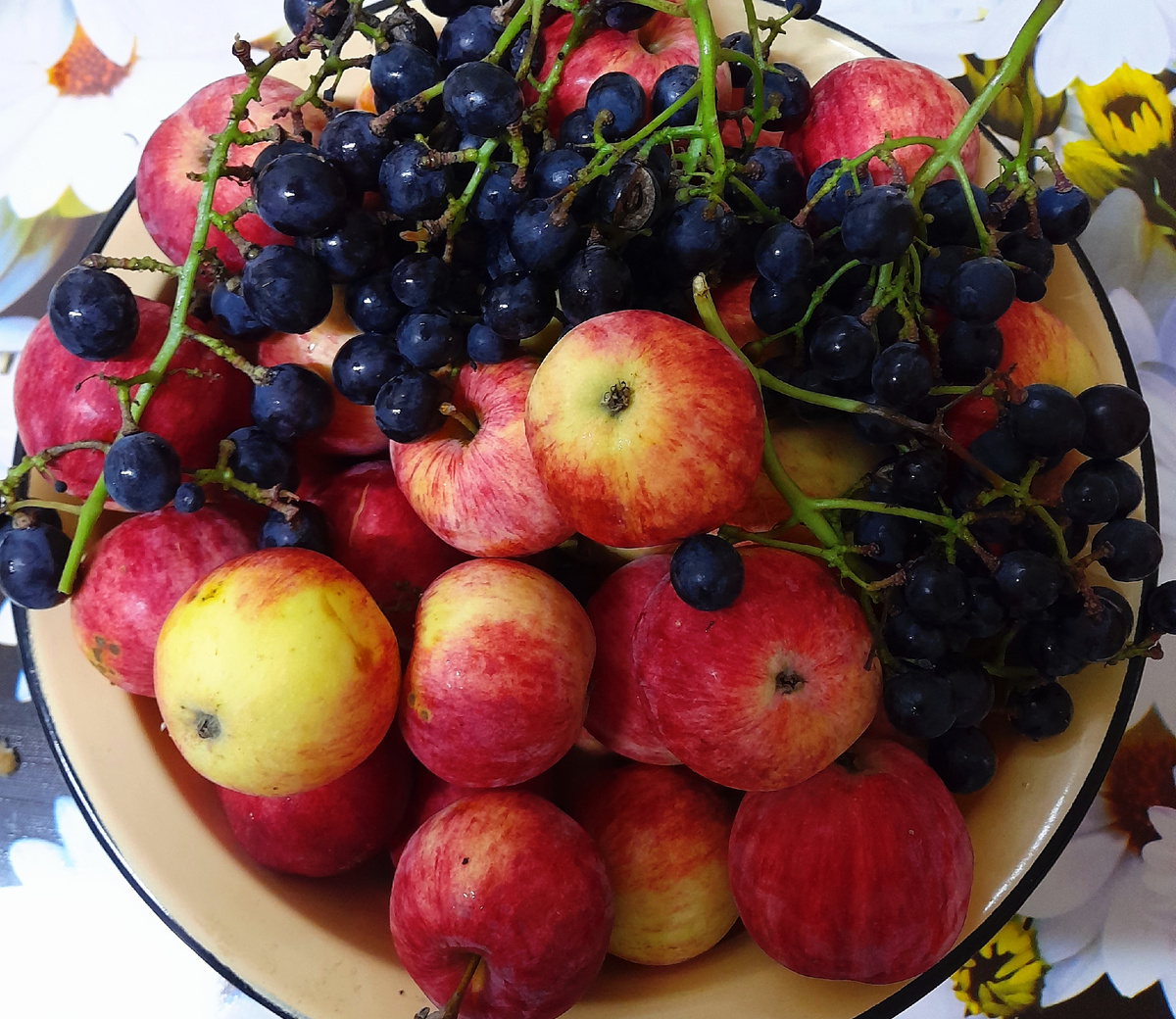 Фото автора канала