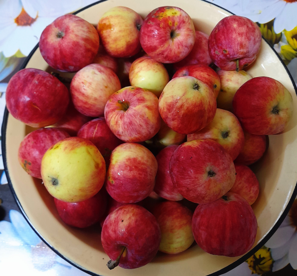 Фото автора канала