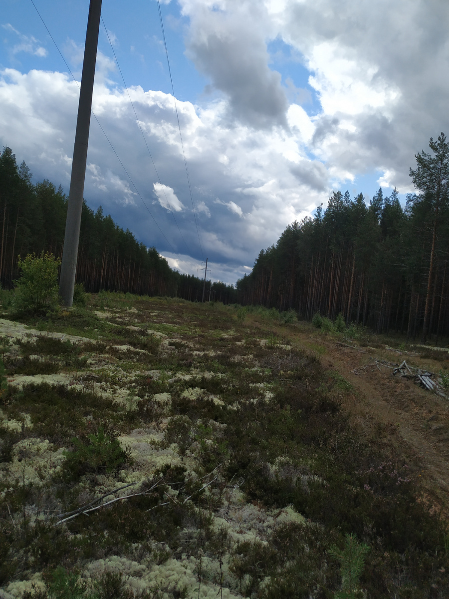 Личное фото.