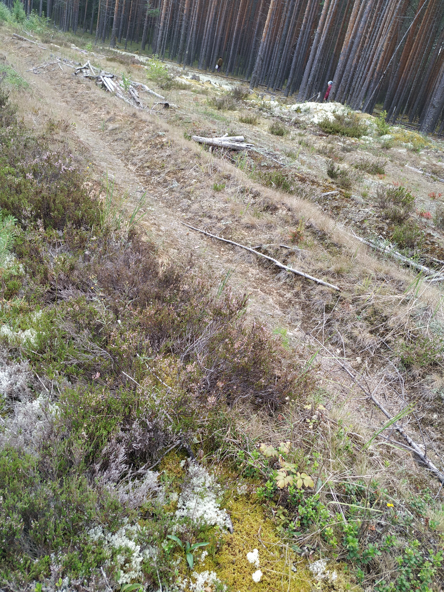 Личное фото.