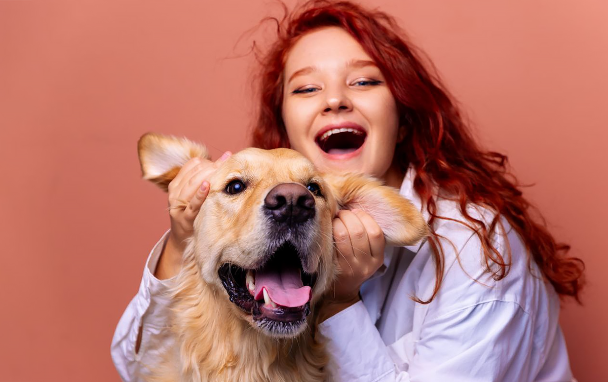 Как избежать аллергии у собаки: Что делать, если аллергия случилась / Изображение: AlphaPet