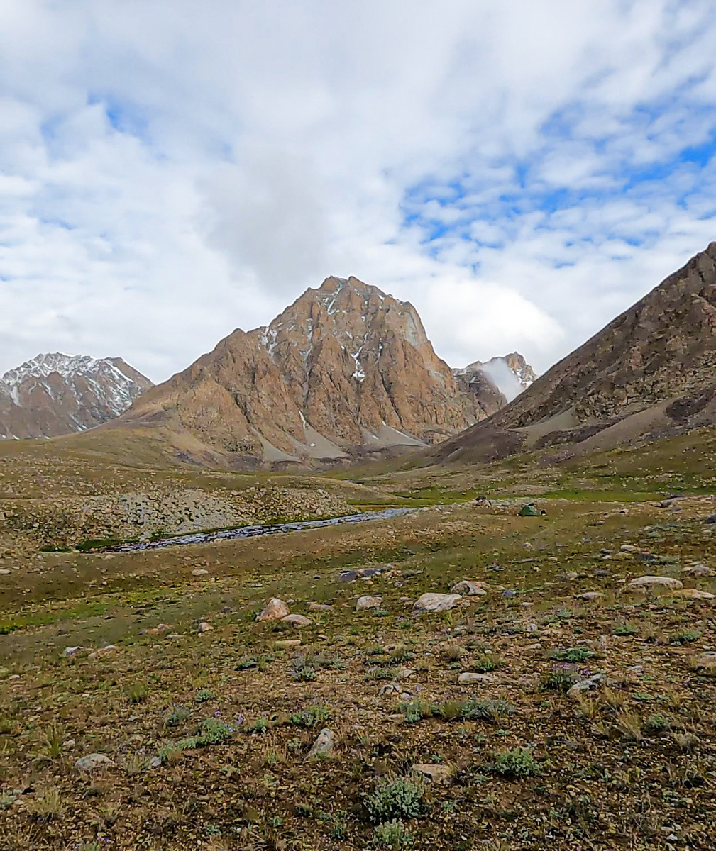 На фото можно разглядеть зелёное пятнышко, это наша паоатка
