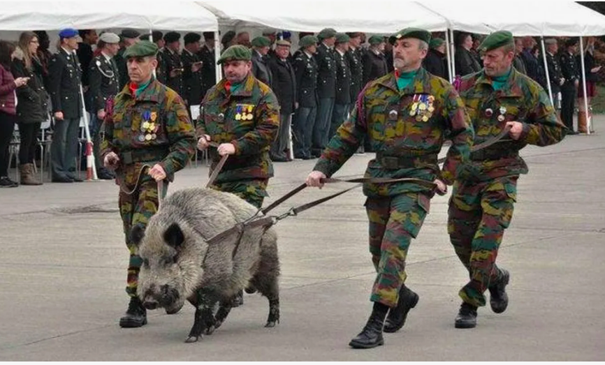 фото из интернета.