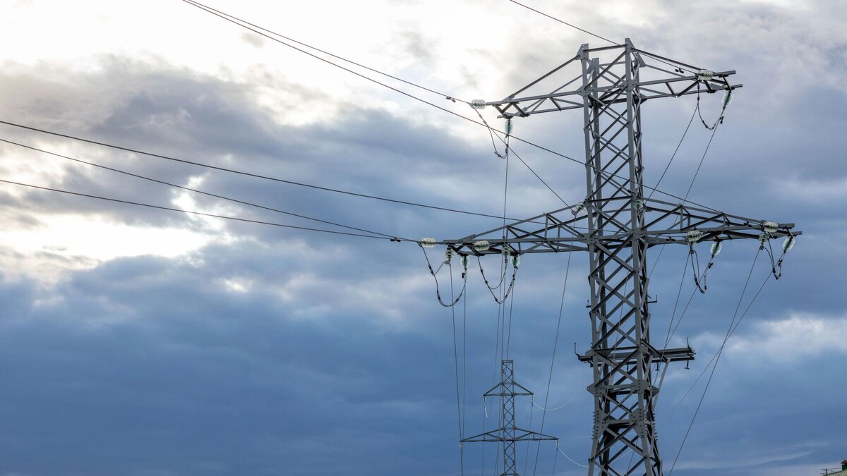    Фото: Фёдор Воронов/«Ямал-Медиа»