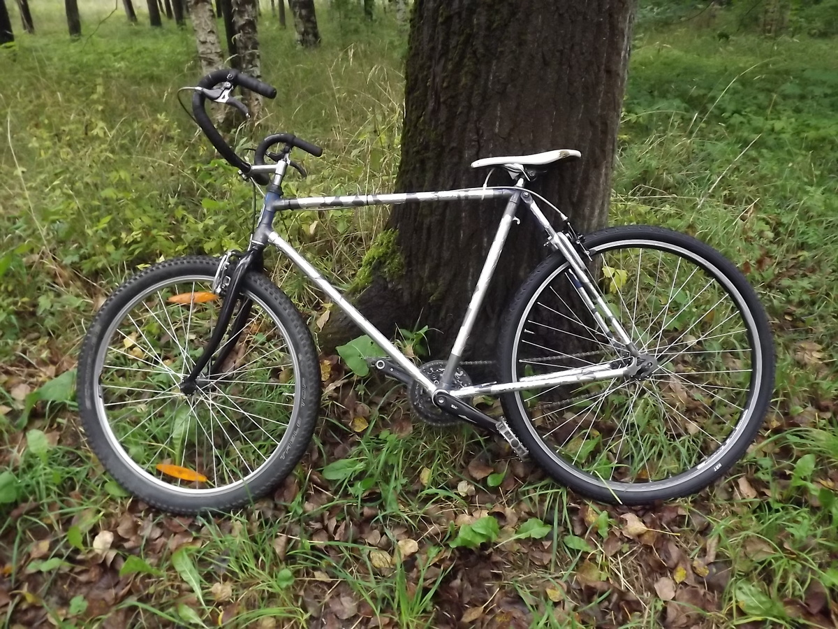 Крокодил-Аист