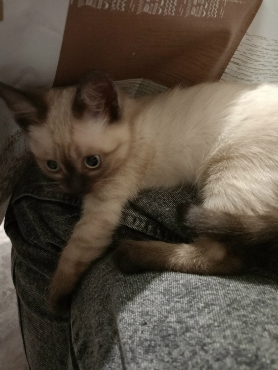 Карамелька