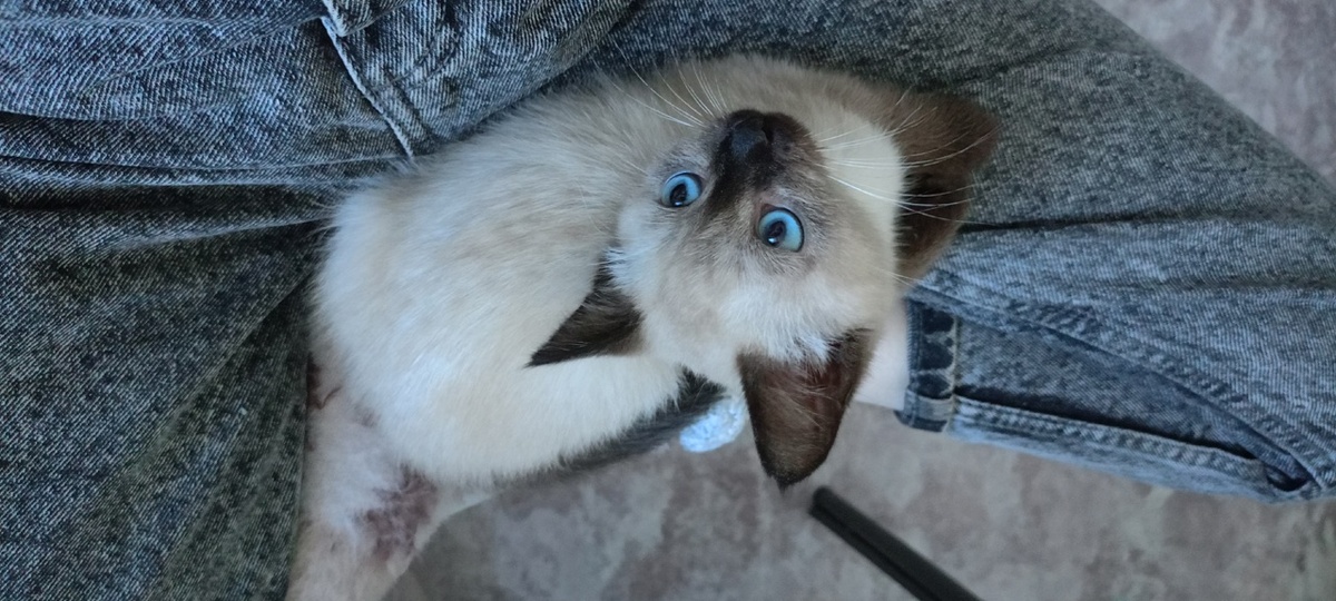 Бусинка. Наша история.