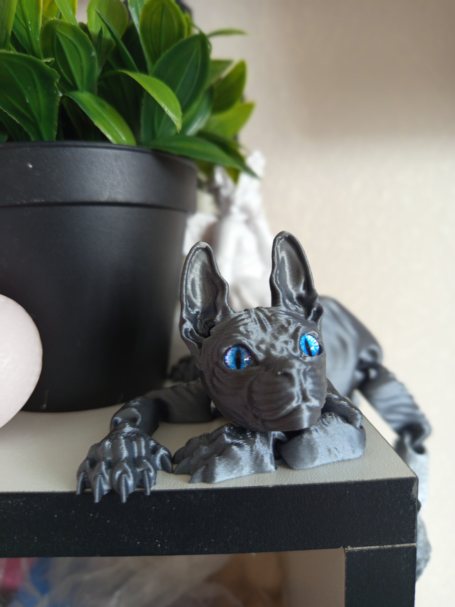 Фото автора.