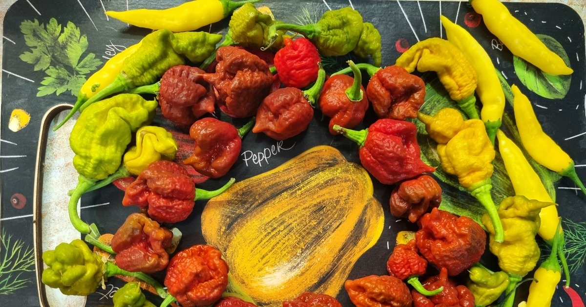 Знакомо чувство, когда хочется и мясо, и овощей, и чтобы всё это было томленое, ароматное, да еще и посуду мыть не пришлось полвечера? У меня для вас есть идеальное решение — аппетитная запеканка из перцев, баклажанов и мяса, которая готовится в духовке в одной форме.