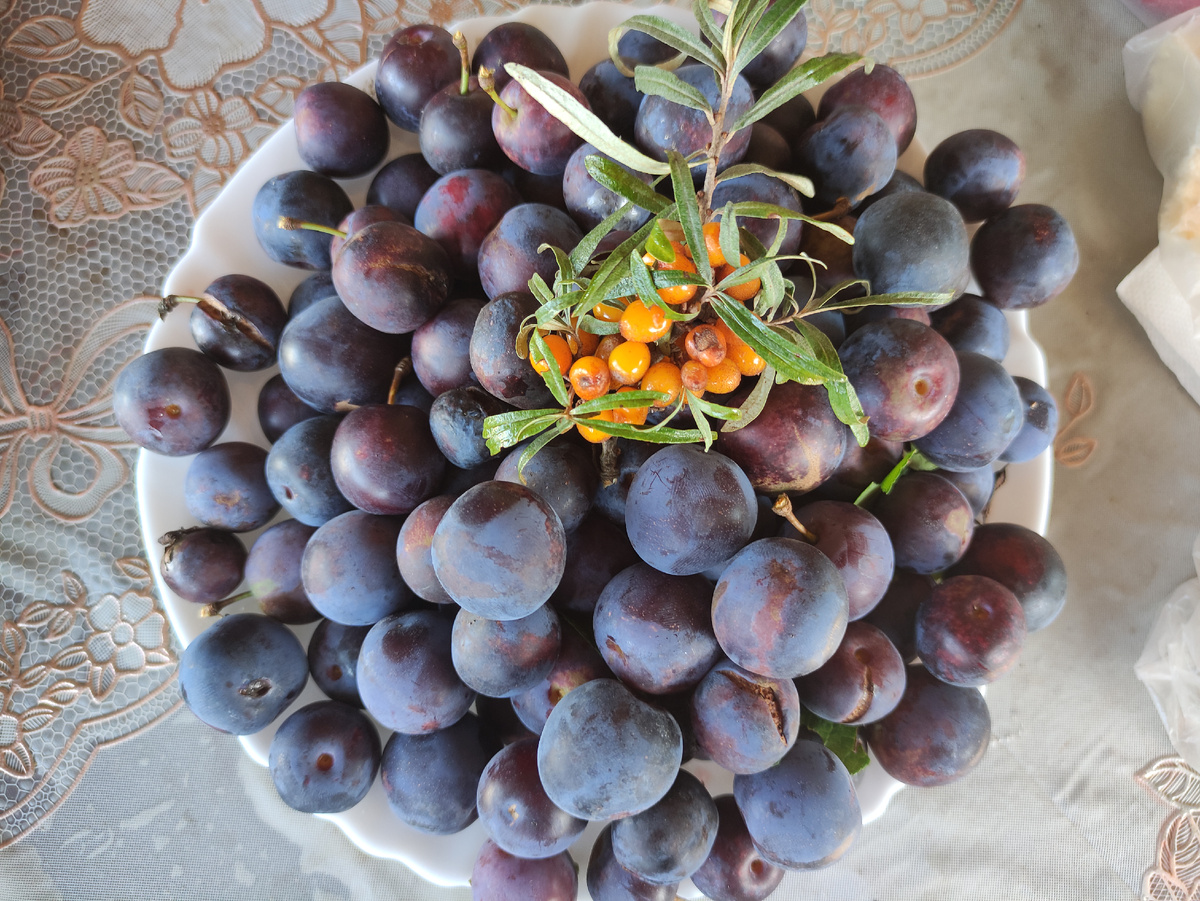 Вот так и в жизни: самое ценное и вкусное часто скрывается за колючей оболочкой. Главное — не пройти мимо и дать шанс. А вы согласны?