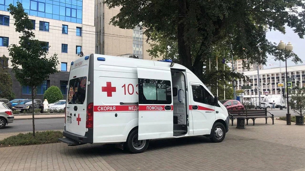     Фото: Пресс-служба администрации Краснодара