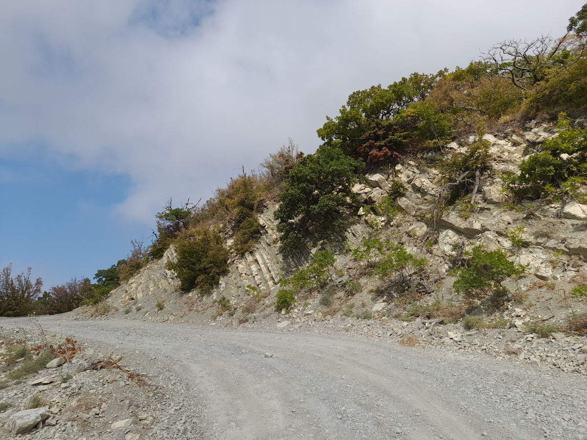 Нижняя часть