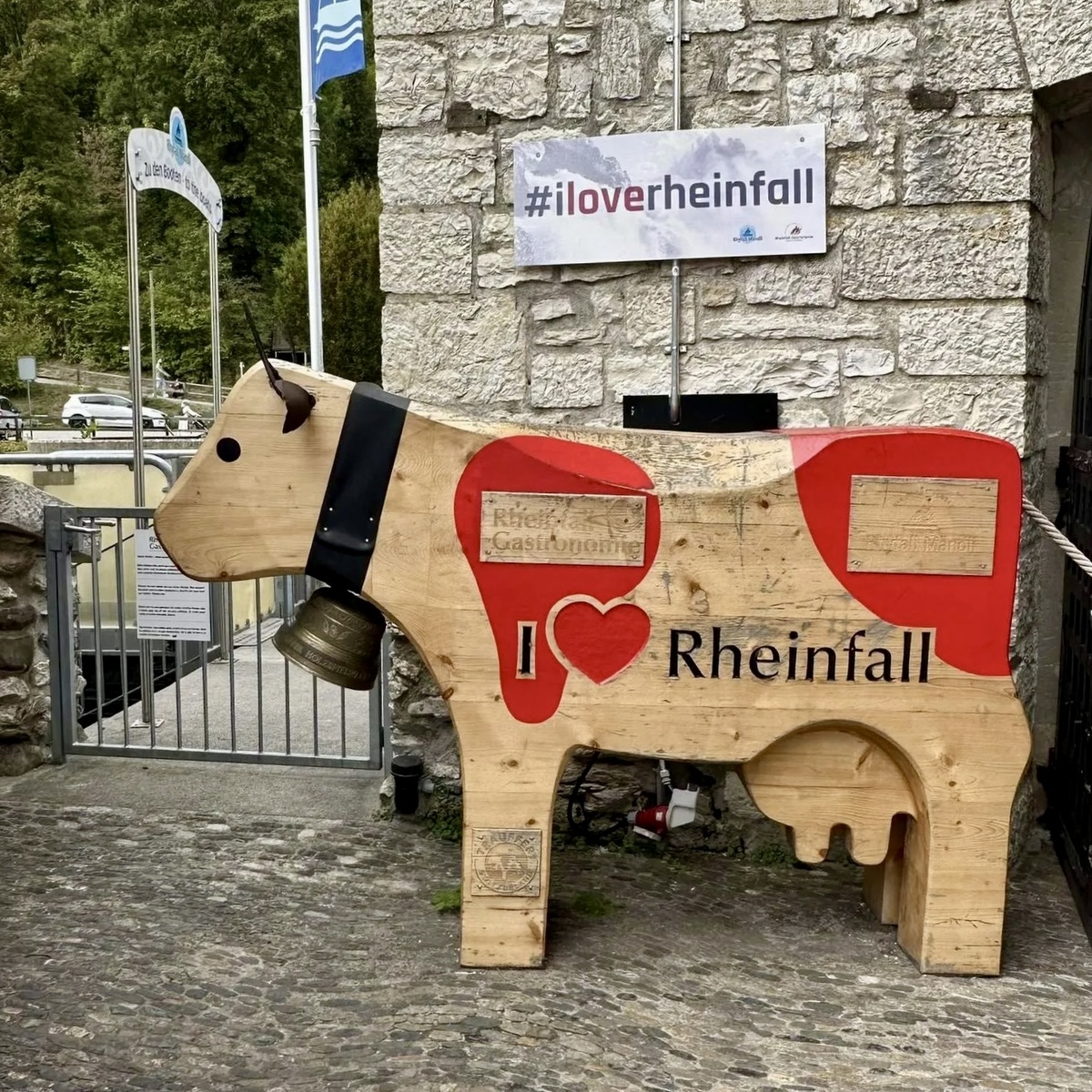 Фото с поездки в Швейцарию на Рейнский водопад.