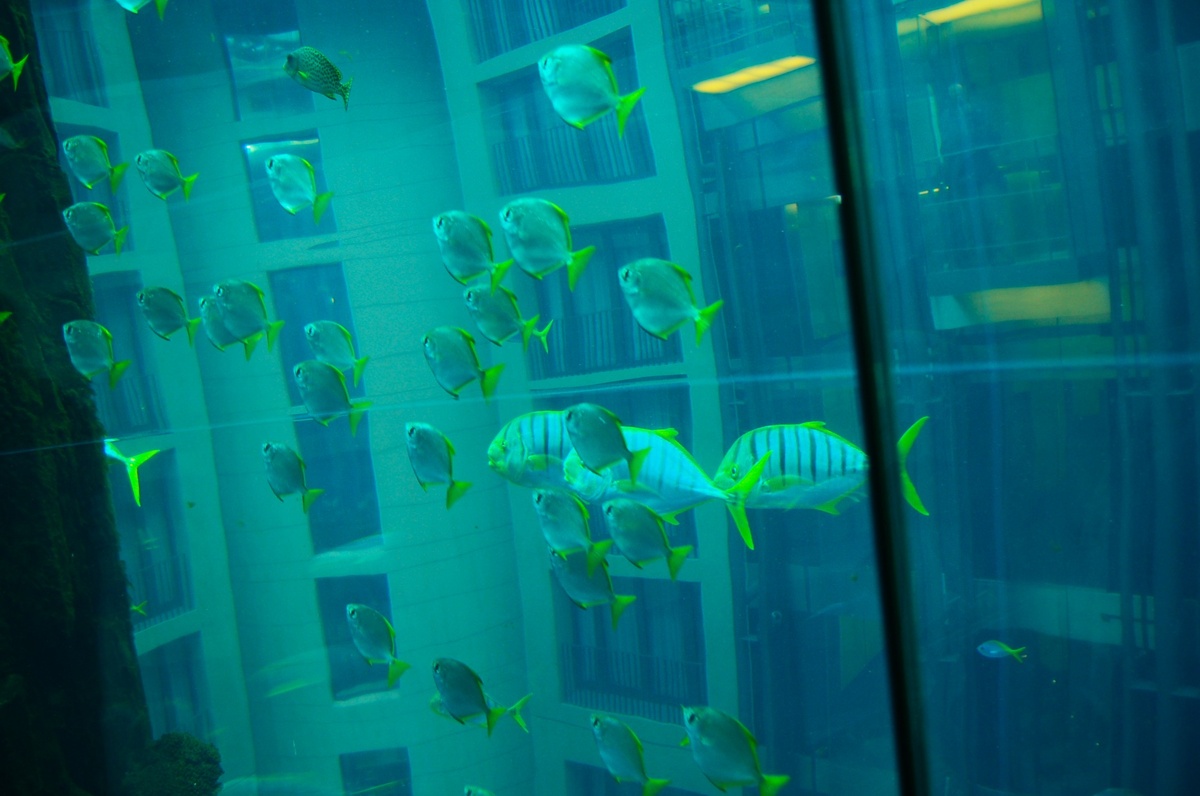  На лифте внутри самого большого цилиндрического аквариума в отеле Dom Aquaree, Берлин. Снимок 2007 года (уникальный, получается!).  16.12.2022 этот аквариум лопнул, вылился миллион литров воды, 1,5 тысячи тропических рыб погибли.  Очень жалко, хороший проект был. Кстати, это был единственный отель в мире, где номера с видом наружу стоили намного дешевле. Фото автора.