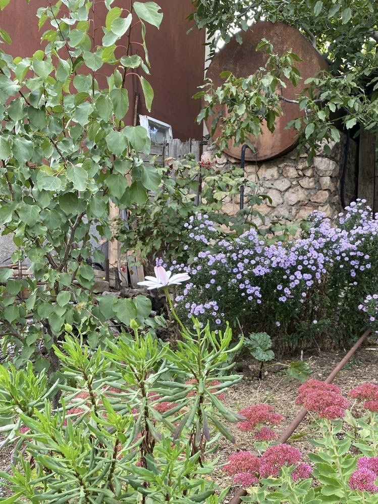 Фото сезона, когда были дожди.