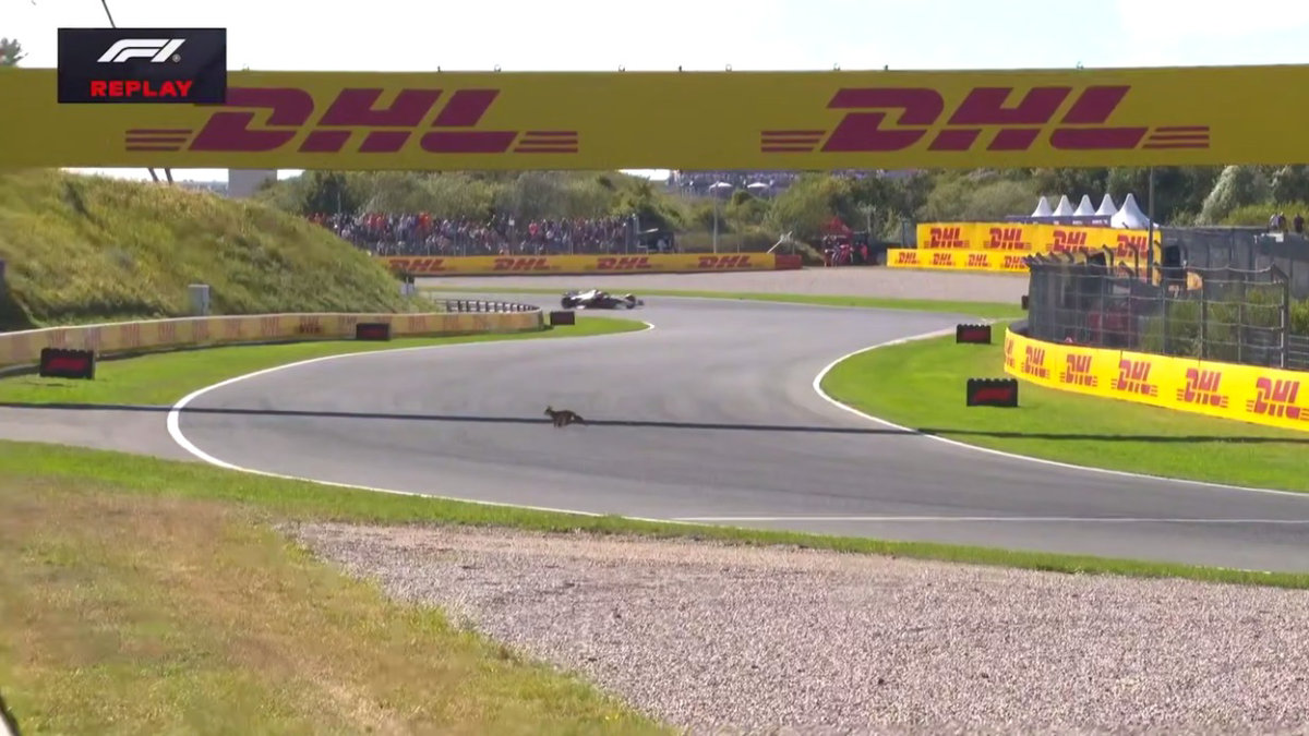    Фото: Скриншот видео / Shot / Telegram