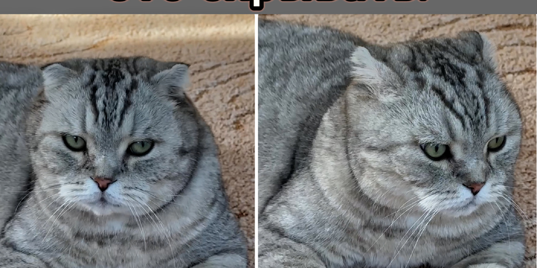И очень уверен в себе😻