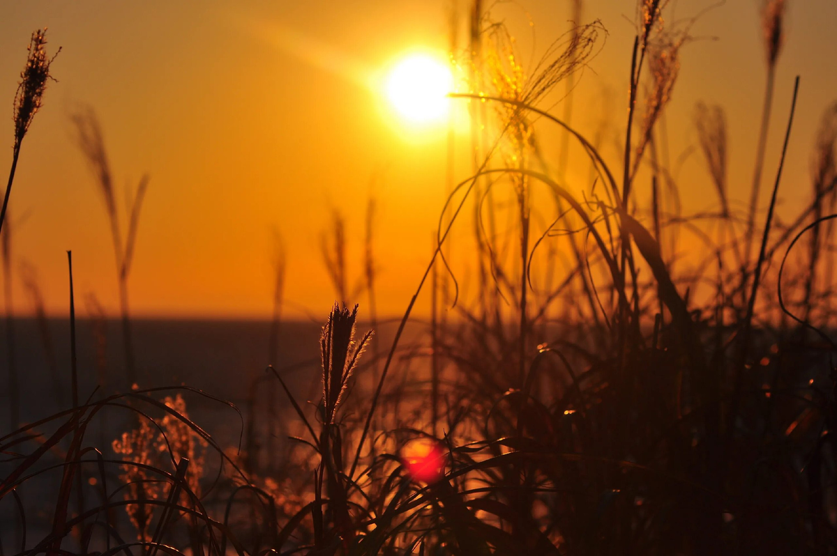 ДЛЯ ОБЛОЖКИ