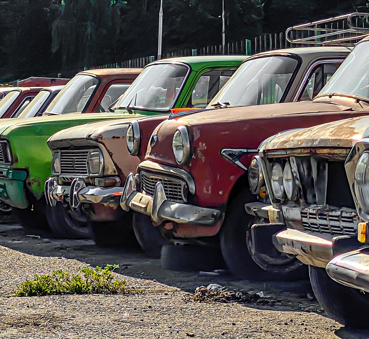 Фото: открытые источники 