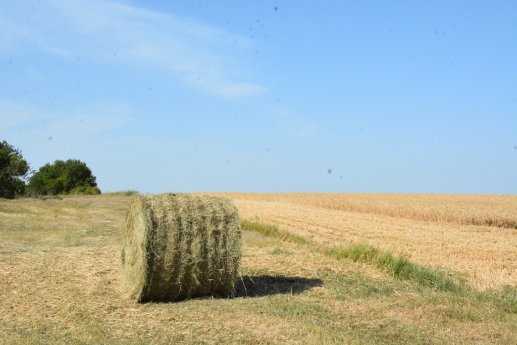   Фото: Е. Антонова. Галина Ященко