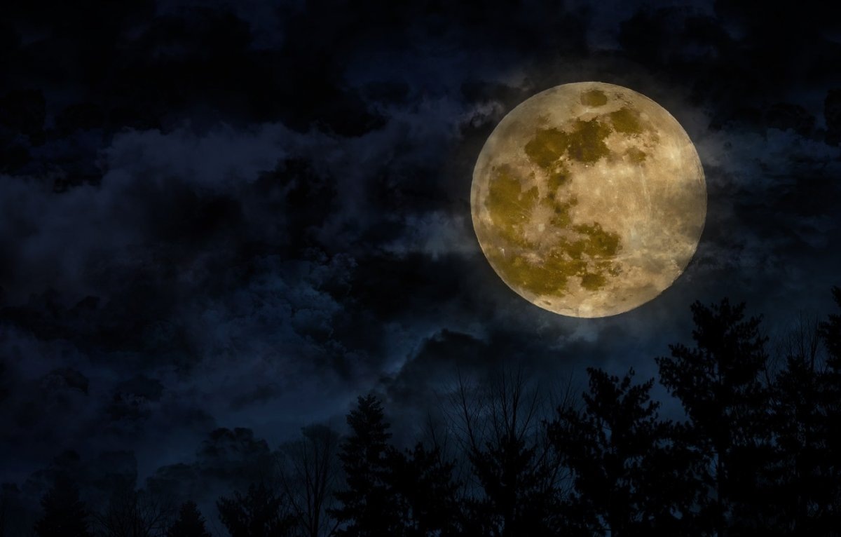 Рисунок взят с просторов интернета