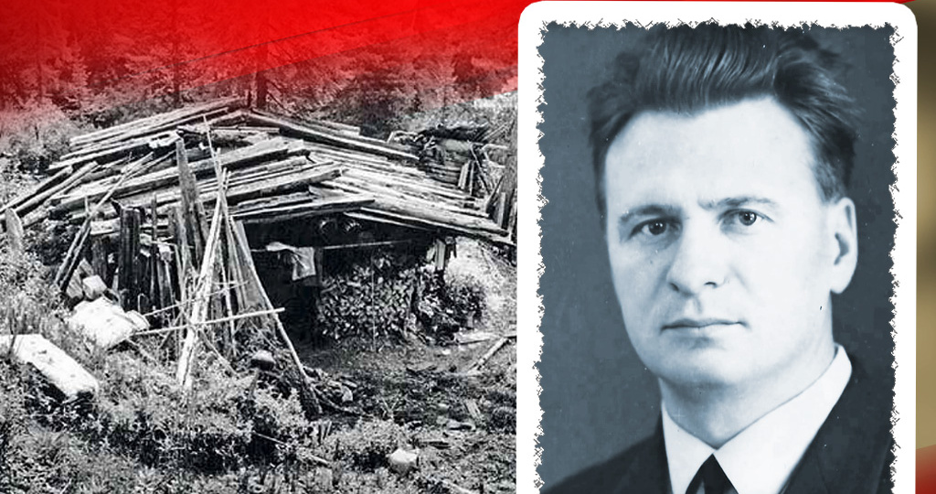 Среди тайги, вдали от жилья геодезисту спасла жизнь обычная кошка. Как всё произошло?