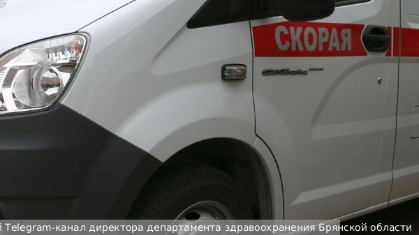     Фото: Официальный Telegram-канал директора департамента здравоохранения Брянской области   
 Текст: Антон Антонов