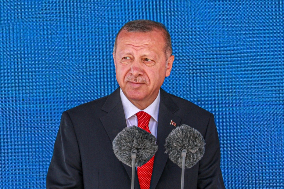    Сергей Булкин/NEWS.ru