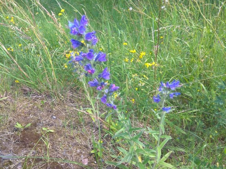    Фото:Наталья Сорокина