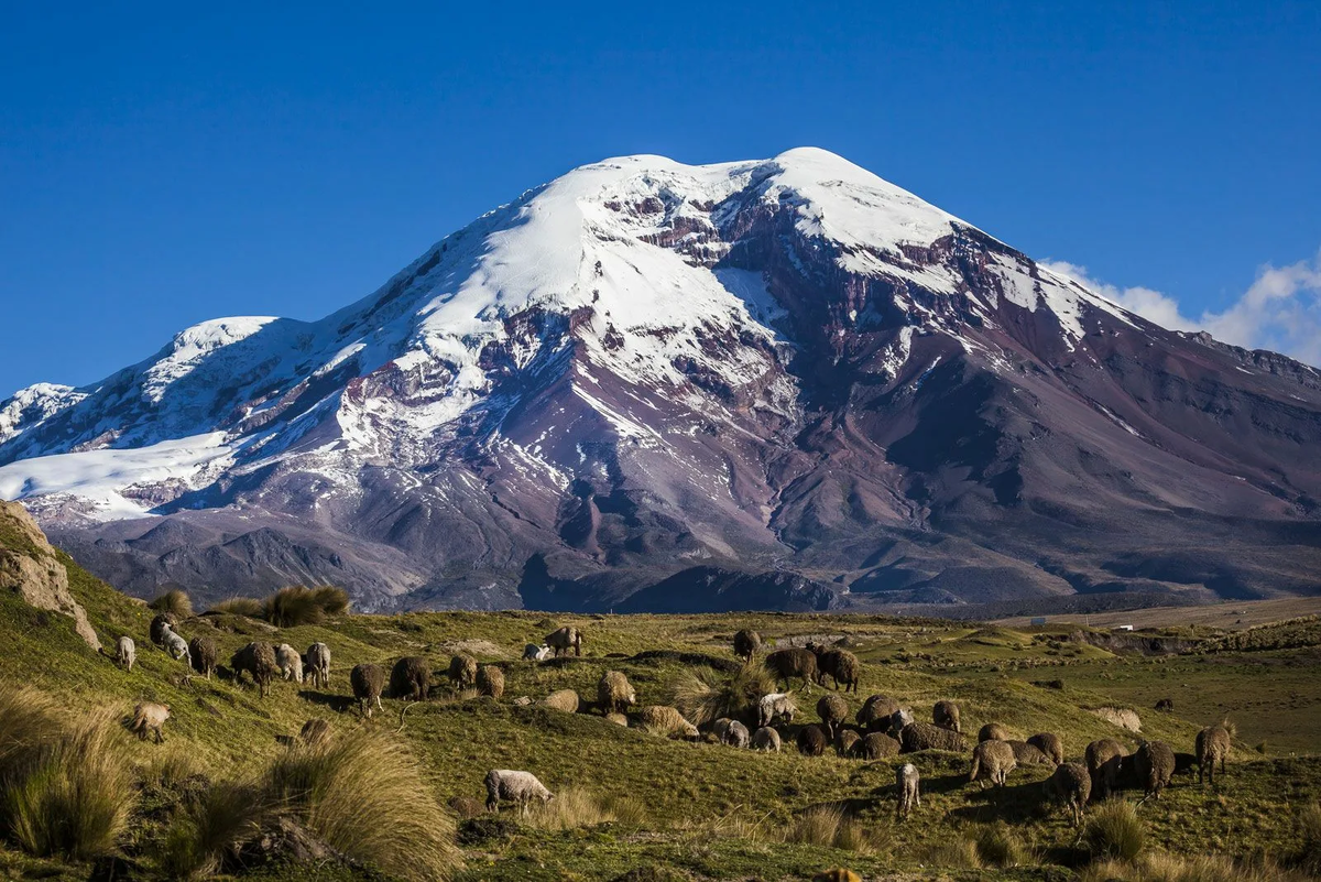 Чимборасо. Фото с сайта https://www.britannica.com/place/Chimborazo-mountain-Ecuador. Взято с Яндекс.Картинки