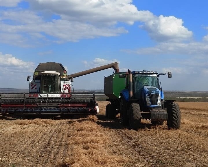   Фото Е. Погребенко. Елена Антонова