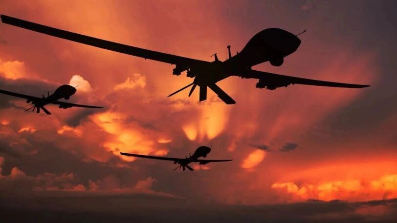    Фото: sibsky2016/Shutterstock/Fotodom