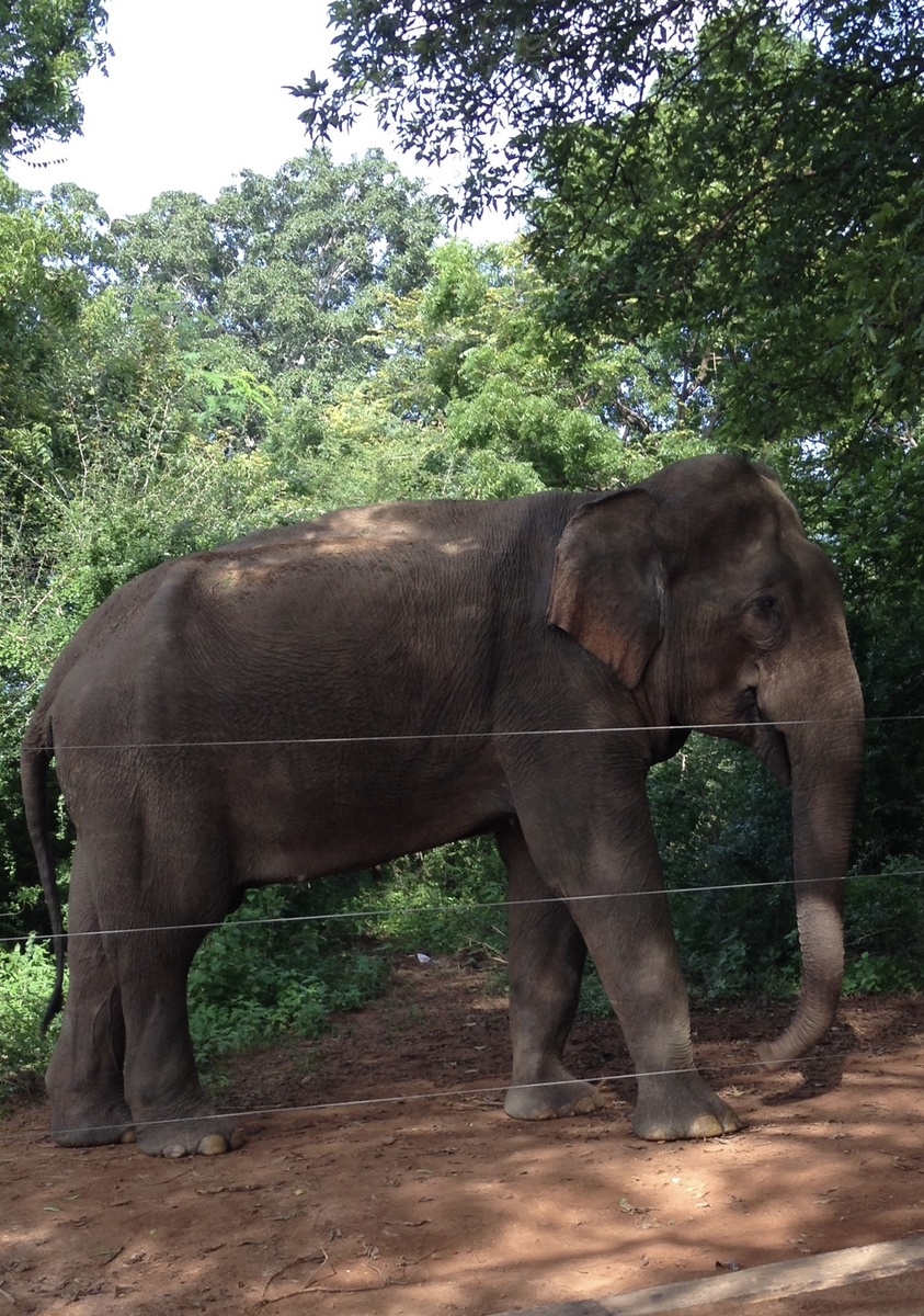Фото из личного архива автора